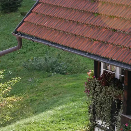 Schwarzwald Buchenhof * צל אם האמרשבאך