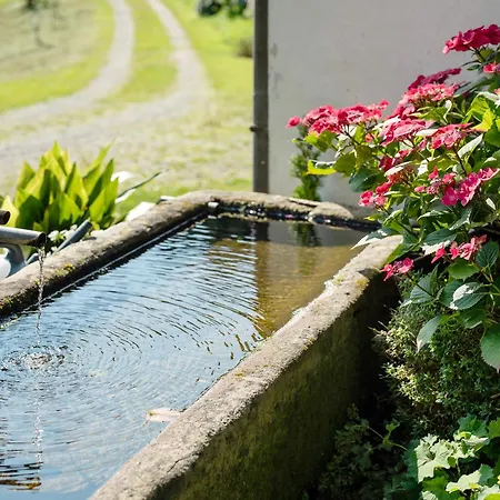 Schwarzwald Buchenhof * 泽尔阿哈莫斯巴赫