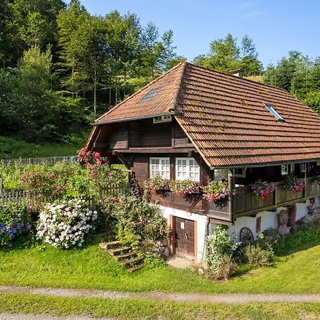 度假居 Schwarzwald Buchenhof