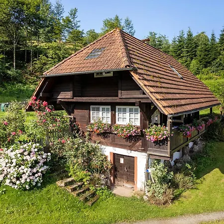 Schwarzwald Buchenhof 度假居 *