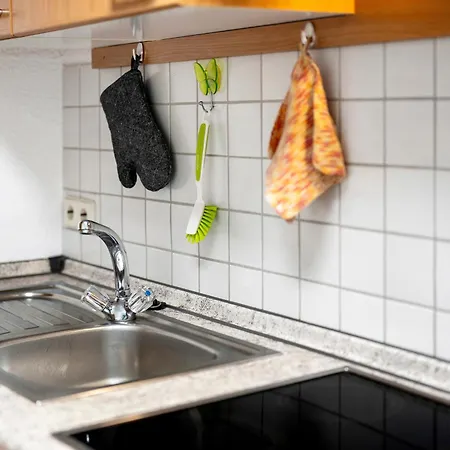 בית נופש Schwarzwald Buchenhof צל אם האמרשבאך