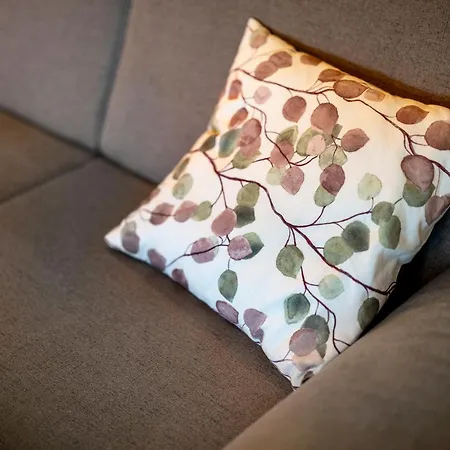 度假居 Schwarzwald Buchenhof