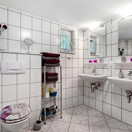 Schwarzwald Buchenhof צל אם האמרשבאך