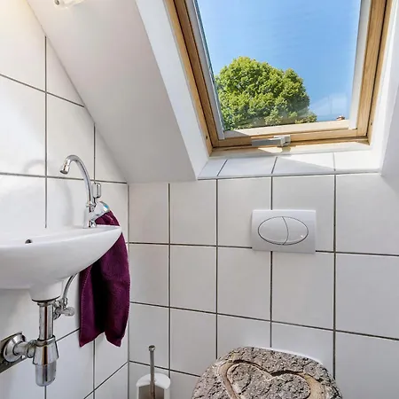 בית נופש Schwarzwald Buchenhof צל אם האמרשבאך