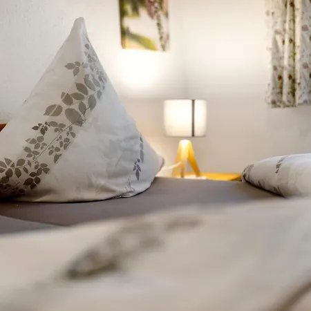 Schwarzwald Buchenhof * 泽尔阿哈莫斯巴赫