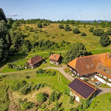 Schwarzwald Buchenhof * צל אם האמרשבאך