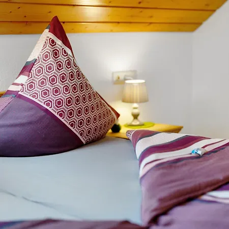 Schwarzwald Buchenhof בית נופש צל אם האמרשבאך